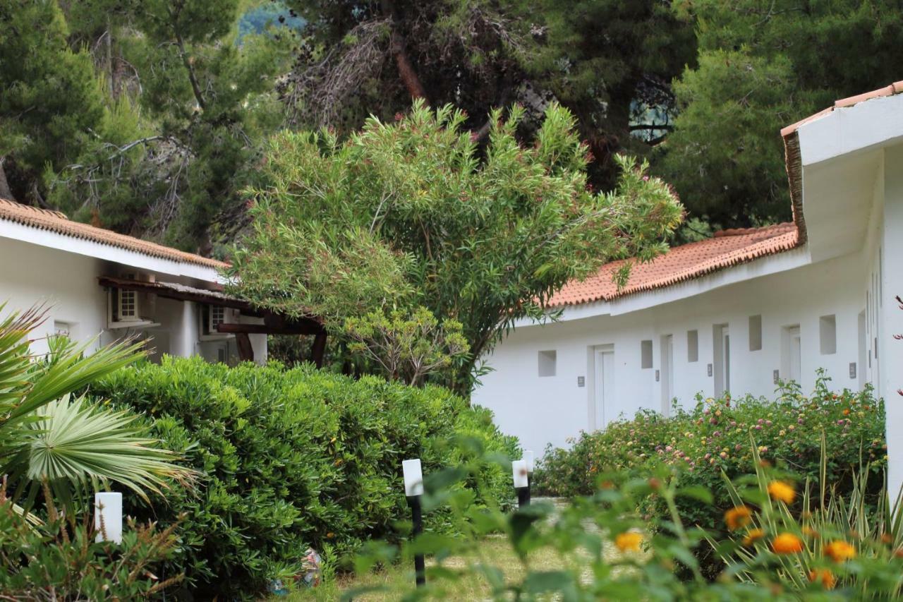 Bv Kalafiorita Resort Zambrone Εξωτερικό φωτογραφία