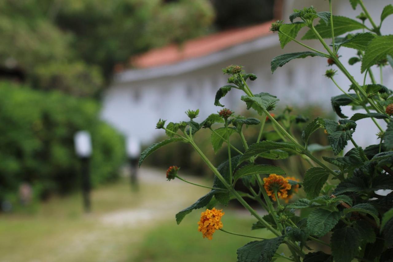 Bv Kalafiorita Resort Zambrone Εξωτερικό φωτογραφία